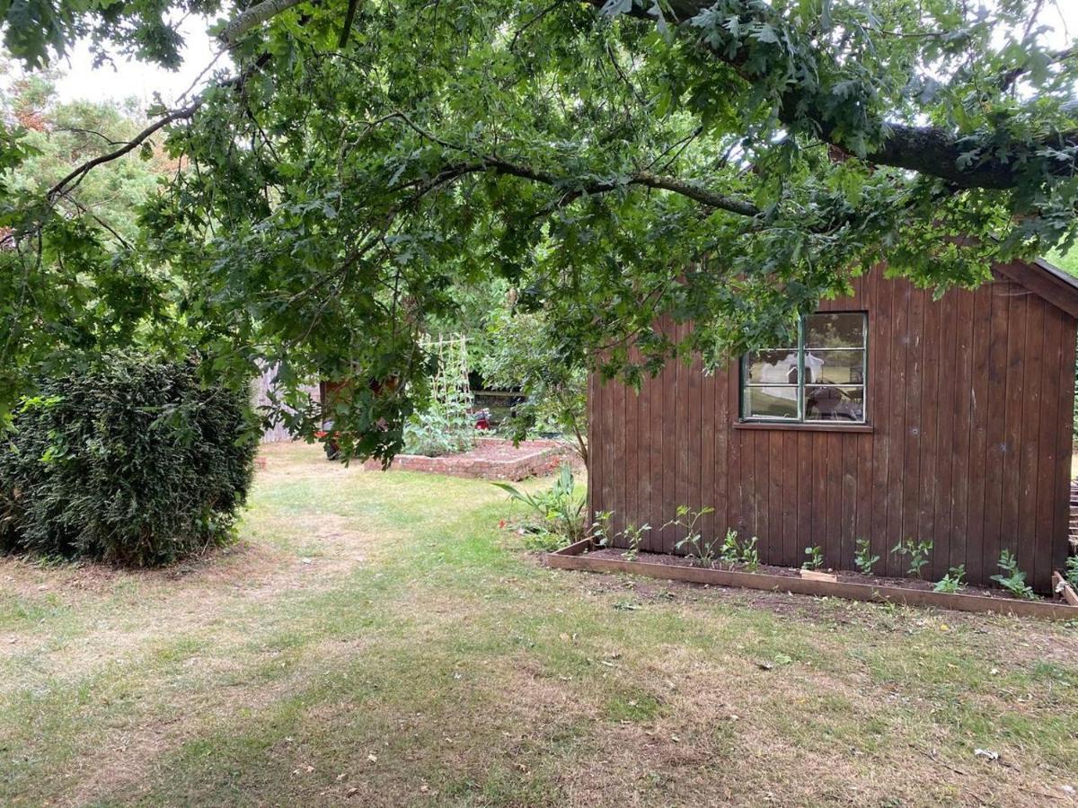 Orchard Cabin Herefordshire Wye Valley Ross-on-Wye Exteriör bild